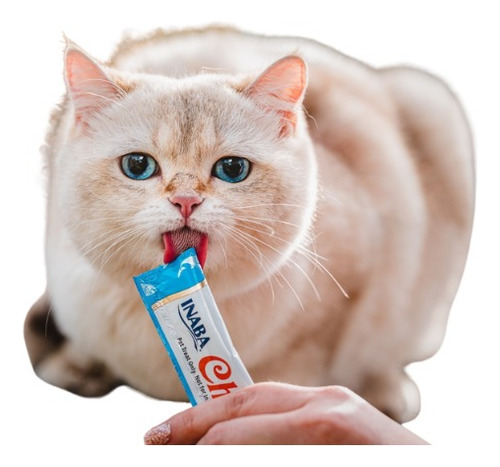 Churu Atum E Salmão + Matatabi Varas De Catnip 20 Unidades