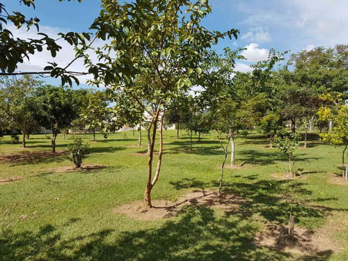 Imagem 9 de 19 de Lote De 590 M² Reserva Da Serra - 50