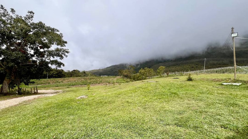 En. Se Vende Finca Agroproductiva Con Casa De Campo Bella