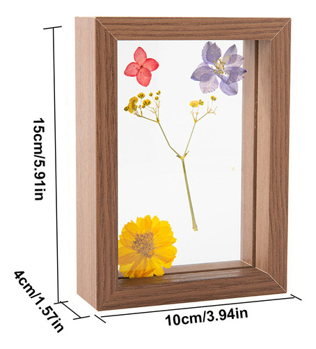 Marco De Madera Para Muestras De Flores Y Hojas Secas Con Vi
