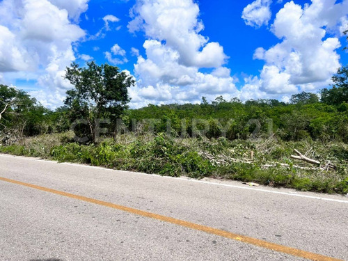 Terrenos De Inversión En Yucatán, Valladolid, México