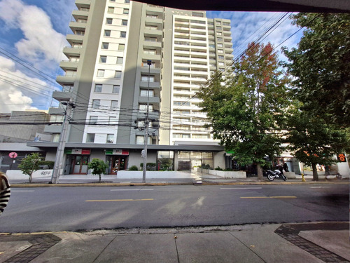 Se Arrenda Departamento De 1 Dormitorio En Concepción