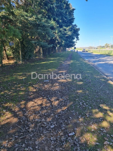 Imagen 10 de 14 de Terreno Fraccion En Venta Sobre Colectora Norte Acceso Oeste - General Rodríguez - G.b.a. Zona Oeste