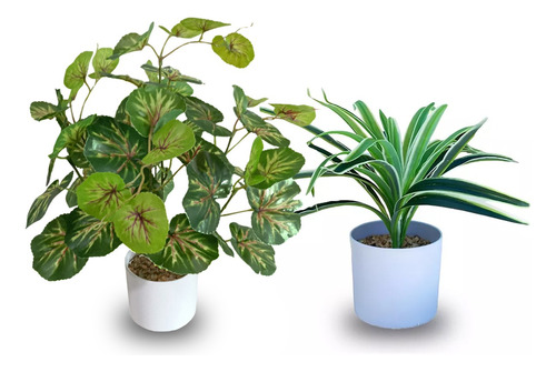 Plantas Artificiales De Escritorio  Combo Pack X2