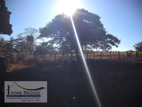 Imagem 8 de 15 de Fazenda Em Centro - Engenheiro Navarro - 2969