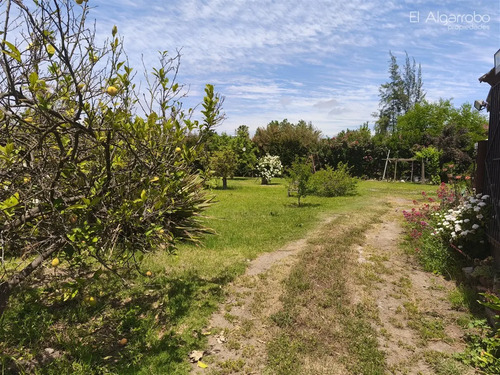 Sitio En Venta En Peñaflor