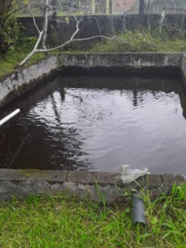 Imagem 5 de 16 de Mini Chácara No Bairro Sítio Velho, Com Tanque Para Peixe Em Itanhaém, Litoral Sul De São Paulo, Localizado Lado Serra, Ficando 1.300 Metros Da Rodovia E 2.800 Metros Do Mar.