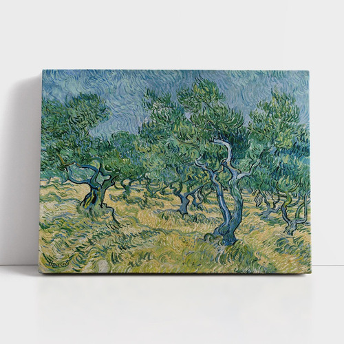 Cuadro En Lienzo Van Gogh Olivos 70x55cm