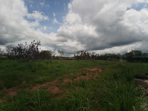 Imagen 10 de 12 de Finca En Tinaquillo Edo-cojedes