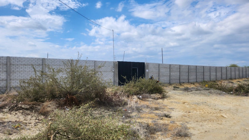 Vendo Lote En Castilla - Piura 3000 Mt2