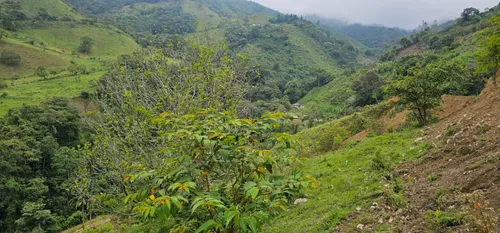 Venta De Lote En Santa Bárbara Vereda Pitayó Lote No. 2a