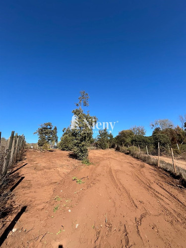 Venta Terreno Reñaca Los Pinos