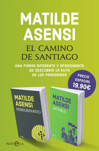 El Camino De Santiago, De Asensi, Matilde. Editorial La Esfera De Los Libros, S.l., Tapa Blanda En Español