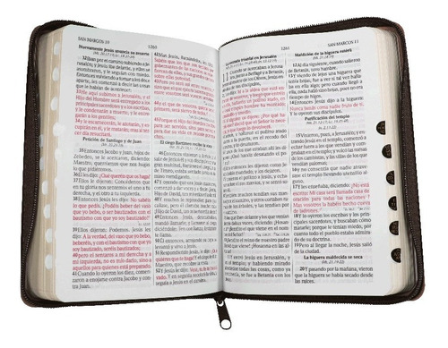 Imagen 5 de 10 de Biblia Rvr1960 Letra Grande Imit Piel Café Con Cierre/índice