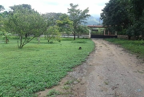 Imagen 5 de 16 de Se Vende Finca En El Polvero San Diego