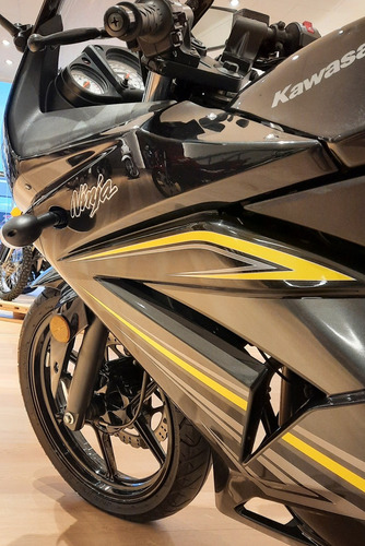 Imagen 5 de 8 de Kawasaki Ninja 250