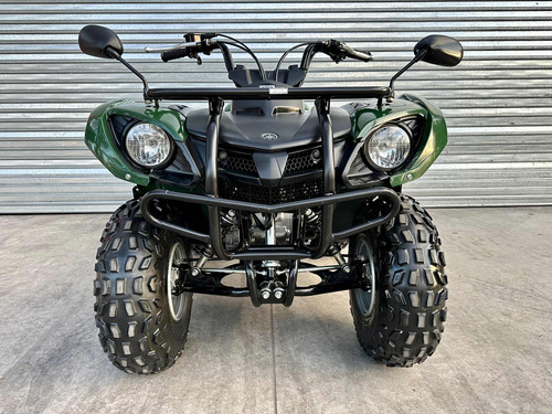 Imagen 6 de 25 de Yamaha Grizzly 125 Cc