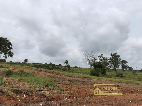 Imagem 7 de 30 de Jardim Novo São Pedro Terrenos A Venda Salto Com 176 M² - Te00025 - 34841753