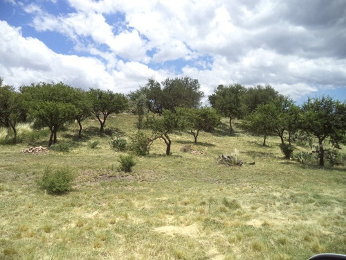 Loteo De Montaña Aguas Blancas (villa Larca - San Luis)