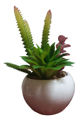 Bonsai Suculentas Cactus Macetero Loza  16 Cm Alto 9 Ancho
