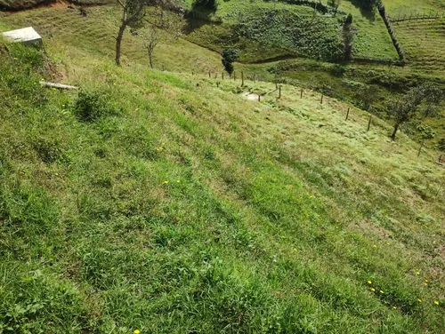 Finca En Guarne Ovejas