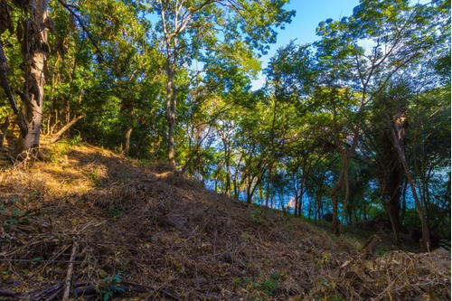 Imagen 4 de 8 de Lot Boca De Tomatlan S/n Trail To Las Animas Frente Al Mar