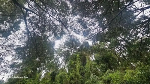 Terreno De 5 Hectáreas En Punucapa, Valdivia