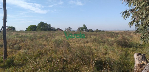 Imagen 5 de 5 de Venta Chacra Próxima A Salinas - Balnearios Salinas