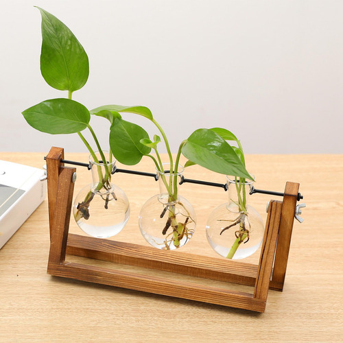 Jarrón Hidropónico De Vidrio Transparente Para Terrario,