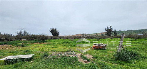Imagen 20 de 29 de Industrial En Venta En Casablanca