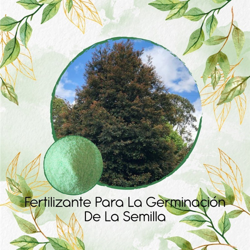 Fertilizante Para La Germinación De Guayacán Manizales