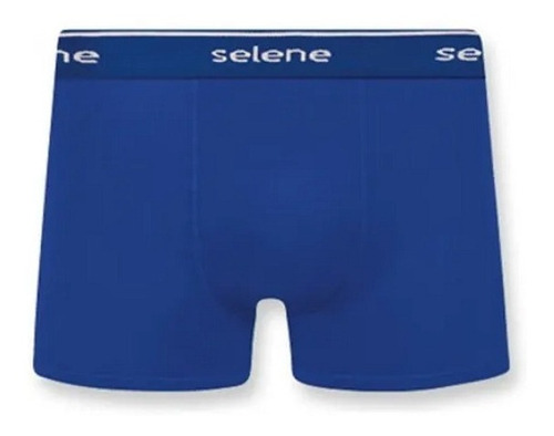 Imagem 5 de 10 de Kit 5 Cuecas Boxers Selene Sem Costura Em Poliamida