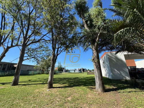 Venta Lote A La Laguna Lagos De San Eliseo