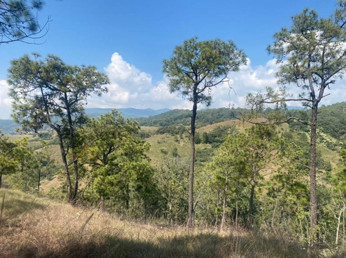 Terreno En Venta En Ex Hacienda San Lucas Del Pulque.