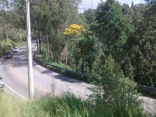 Imagem 8 de 8 de Terreno - Te00022 - 33711529