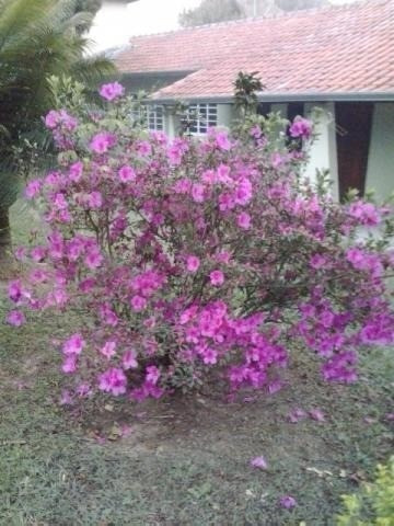 Imagem 4 de 5 de Boa Vista, Fazenda Em Tatuí Boa Vista , Boa Vista - Ch00442 - 4796838