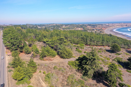 Desarrollo Inmobiliario Frente Al Mar En Punta De Lobos