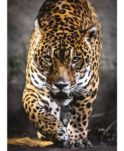 La Sombra Del Jaguar Mexico Rompecabezas 1000 Pz Clementoni