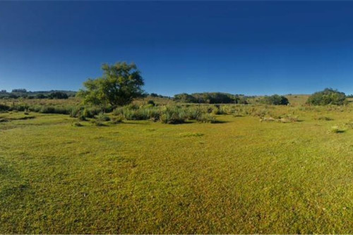 Campo 95 Há, Parte Contado Y El Resto Financiado
