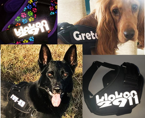 Imagen 4 de 10 de Arnes Pretal Acolchado Para Perros Con Parche Reflectivo
