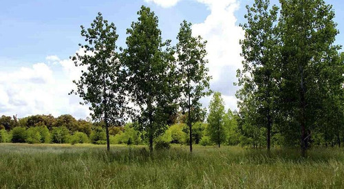 Terreno En Venta En La Cañada City Bell - Alberto Dacal Propiedades