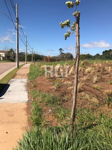 Terreno Em Vila Nova - El50874908