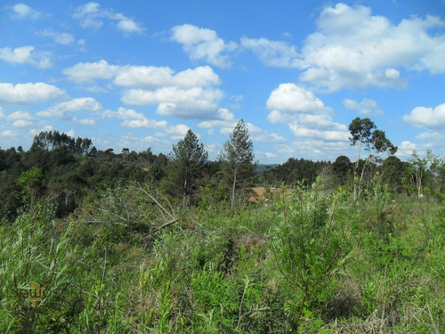 Imagem 8 de 11 de Terreno Lote Para Venda Em Centro Mandirituba-pr - 5702