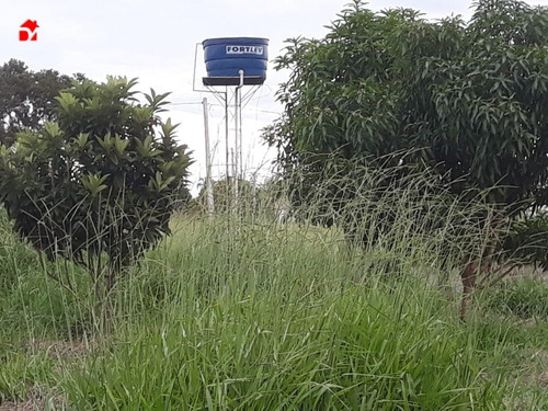 Imagem 5 de 10 de Lote - Zona Rural - Ref: 1345 - V-1345