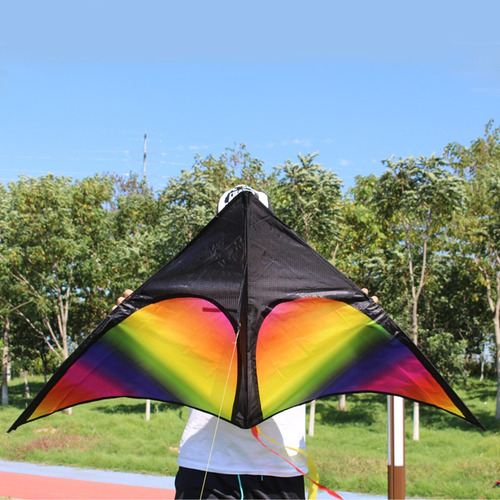 Kite Delta Kite Colorida, Fácil De Voar, Pipa De Praia De Li