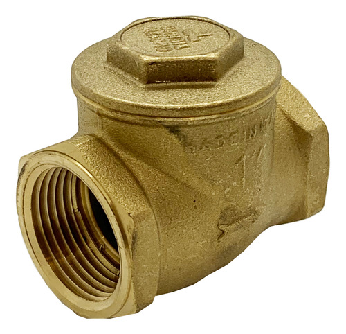 Tiemme Válvula Check Tipo De Columpio 1 Pulgada Mod Tm3660g