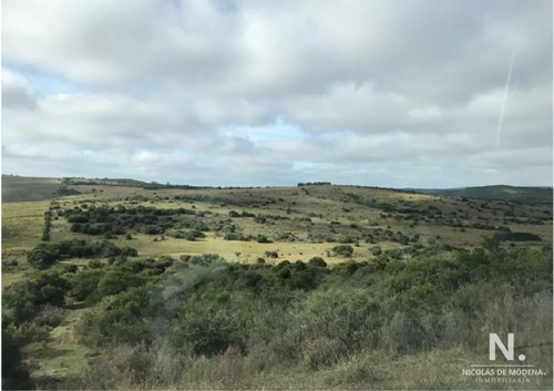 En Venta Campo Criador En Montevideo - Treinta Y Tres.