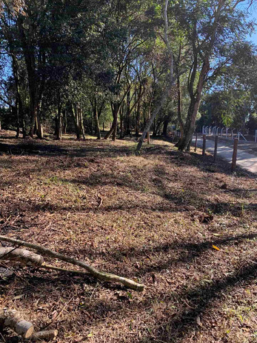 Imagem 12 de 14 de Terreno Rural - Chacrinha - Bairro Passa Dois - Lapa/pr