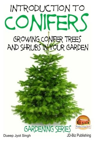 Introduction To Conifers  Growing Conifer Trees And Shrubs I