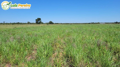 Imagem 2 de 15 de Fazenda À Venda Em Ribas Do Rio Pardo - Ms - 110 Hectares (pecuária) - 2122